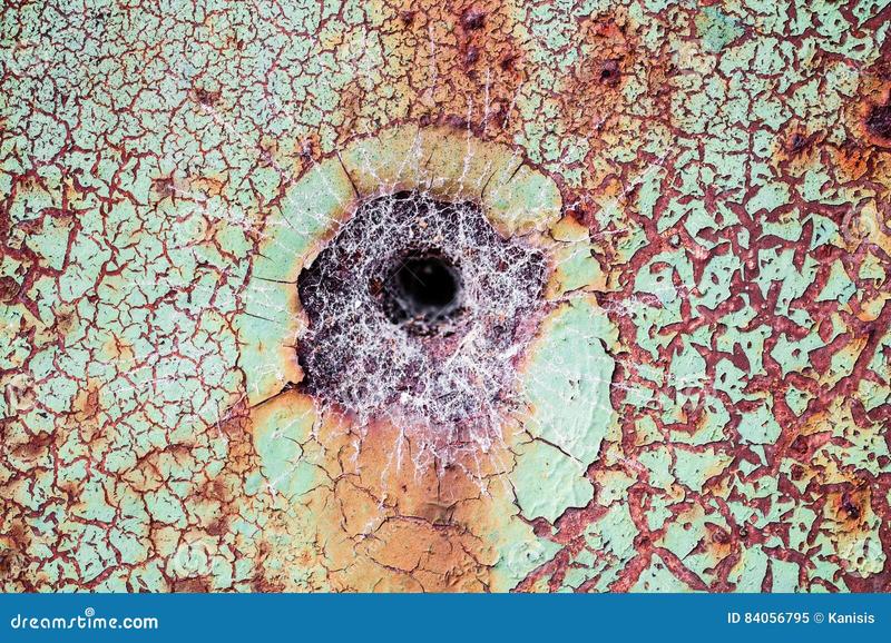 Interpretacja senników