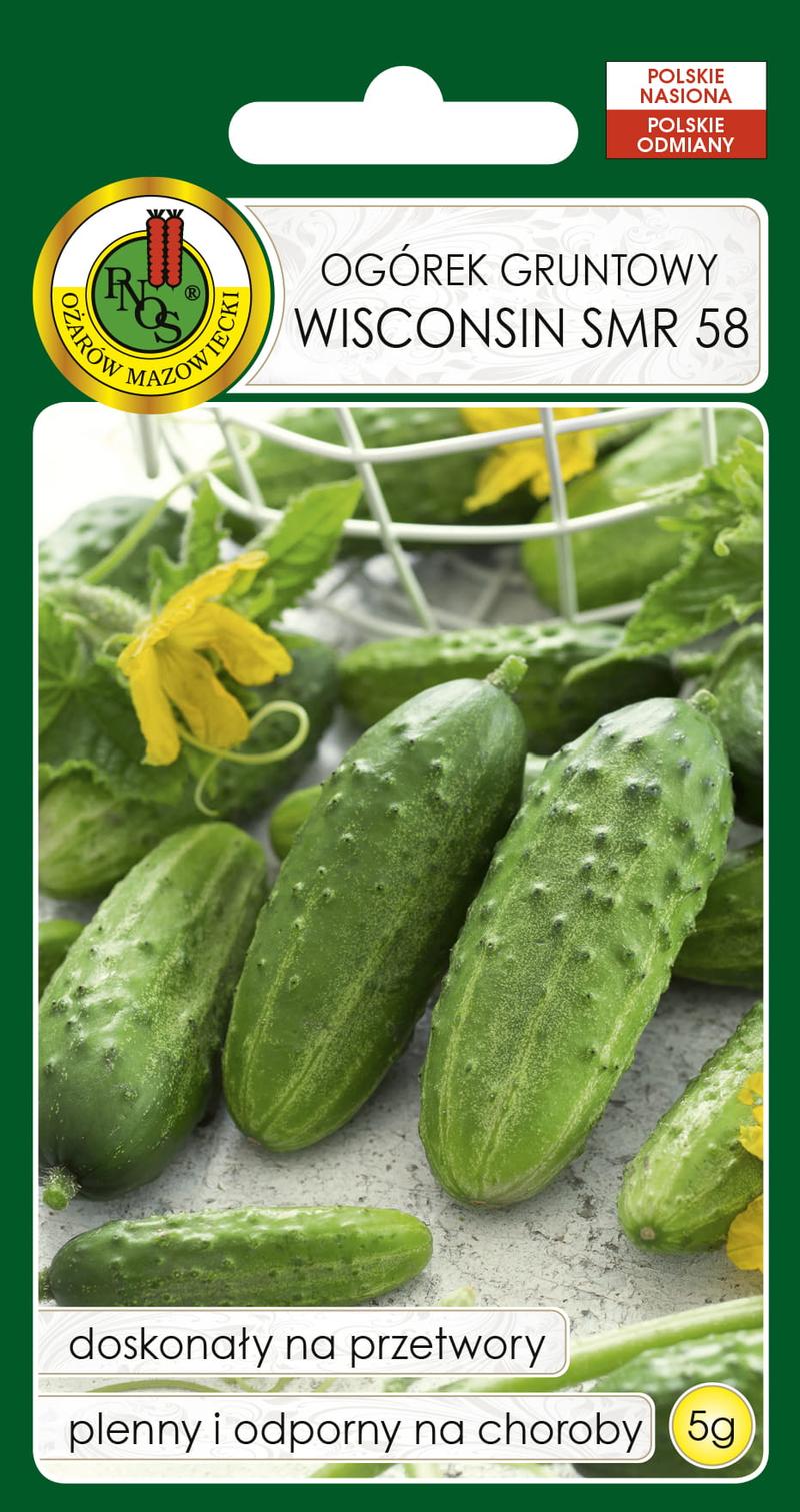 Jak wybrać świeże ogórki