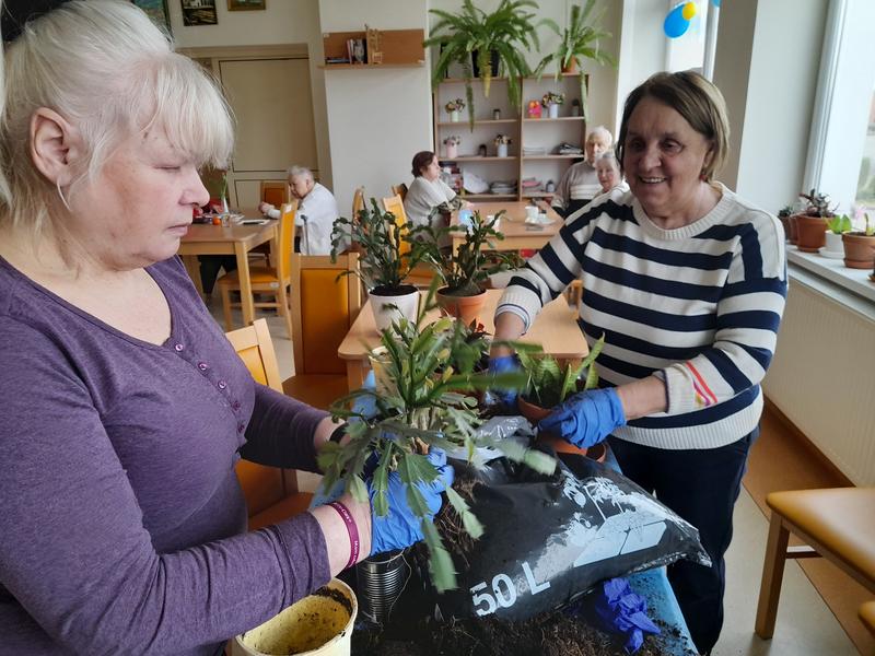 Odchudzanie na wiosnę