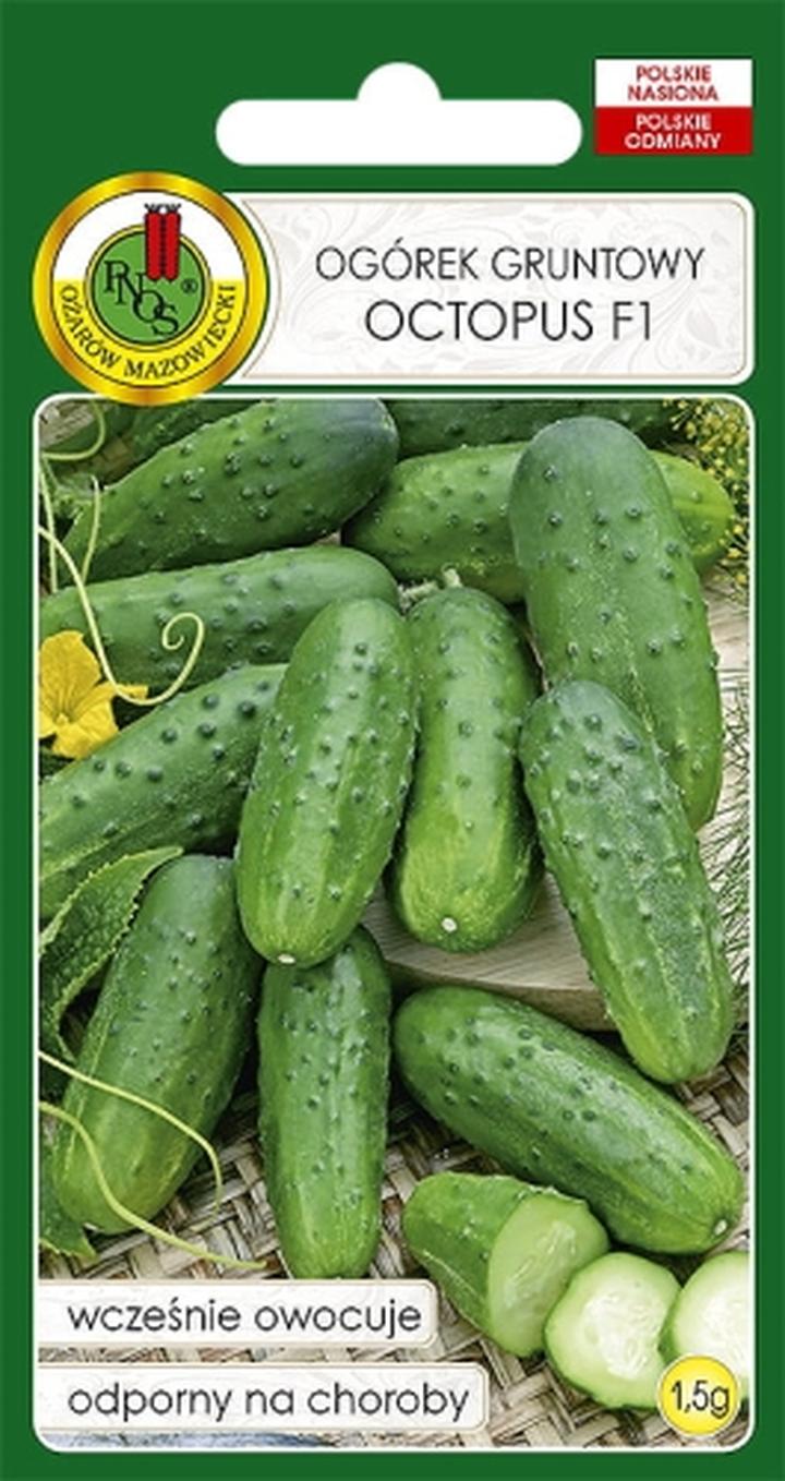 Przepisy na sałatki z ogórków