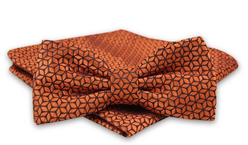 Symbolika muchy we śnie