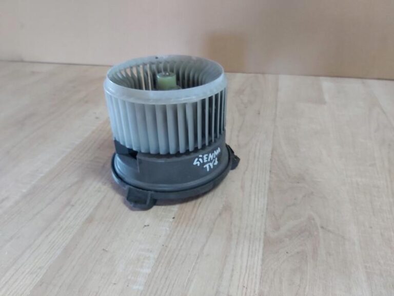 Co oznacza mucha we śnie? Zgłębiamy sennik i interpretację snu o musze